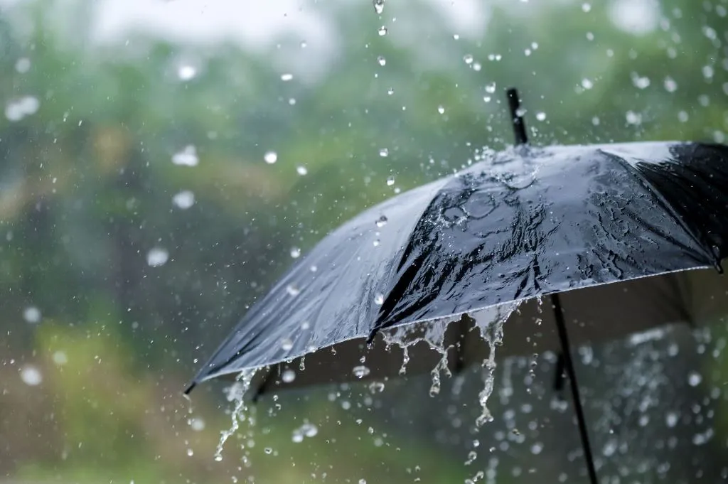 أمطار رعدية معتبرة محليا في هذه الولايات