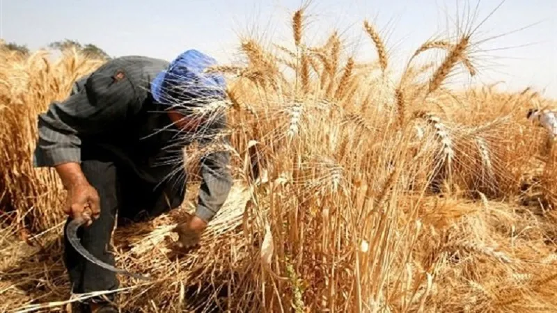 رئيس الجمهورية يأمر بتحقيق نتائج في موسم الحصاد والدرس لسنة 2025