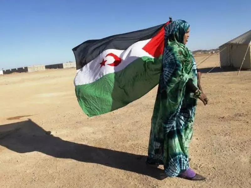 انضمام منظمة "كوديسا" الصحراوية إلى المنظمة الدولية لمناهضة التعذيب