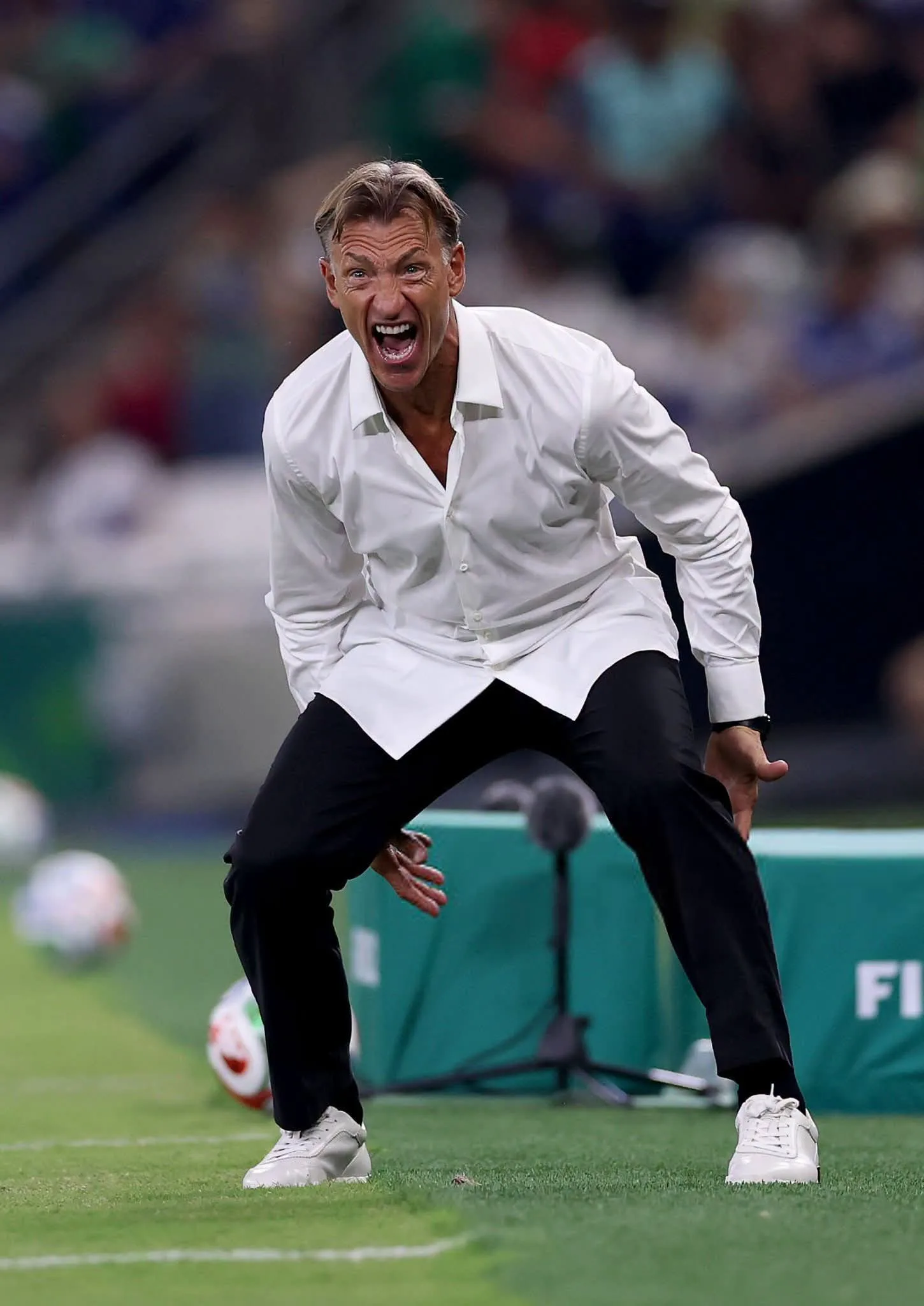 المدرب هيرفي رونار يعلن رحيله عن منتخب تونس بعد المونديال