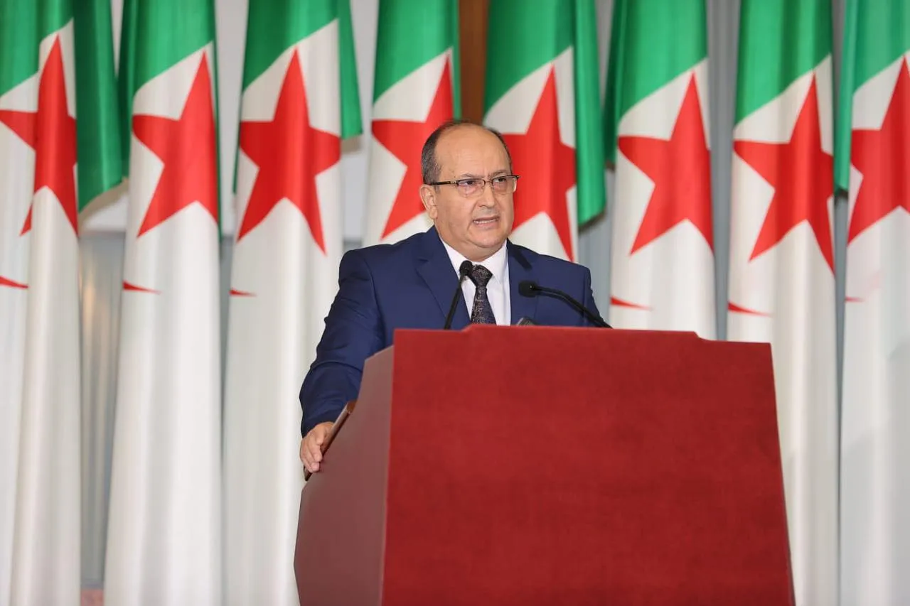 الوزير الأول يشيد بدور المجلس الوطني الاقتصادي والاجتماعي والبيئي