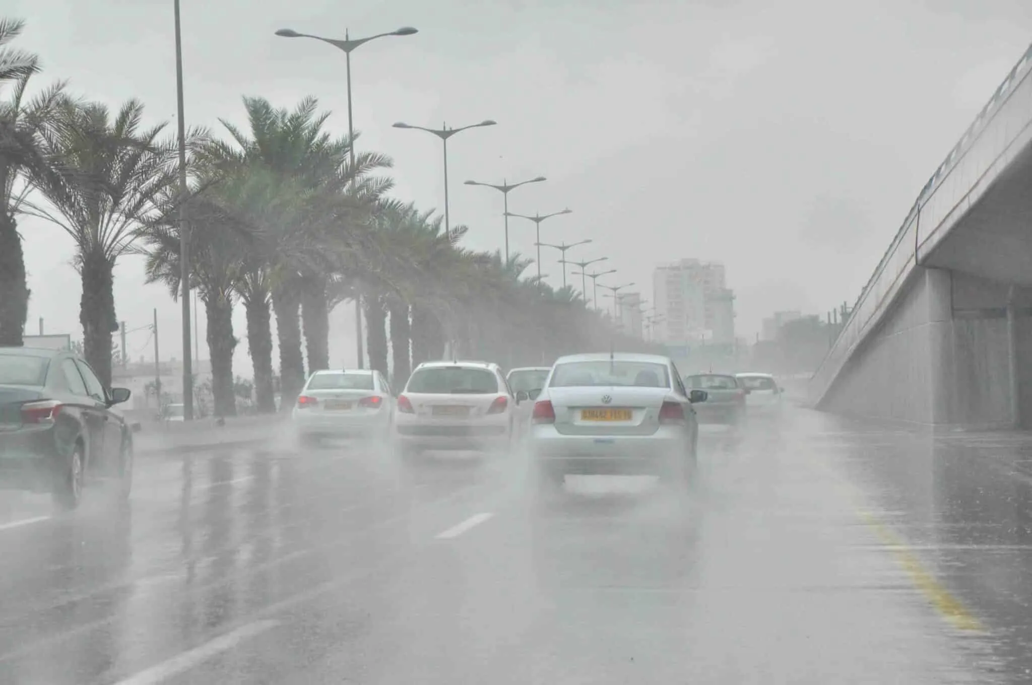 أمطار رعدية غزيرة في هذه الولايات