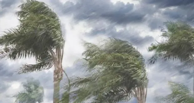 أمطار رعدية غزيرة ورياح قوية غد الخميس