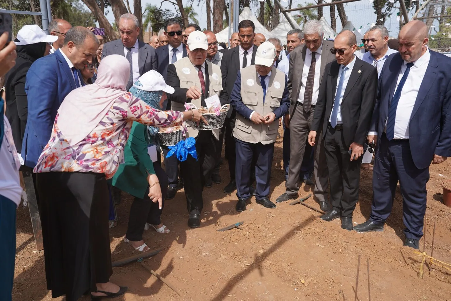 إطلاق الإستراتيجية الوطنية لتطوير زراعة وإنتاج الزعفران في الجزائر