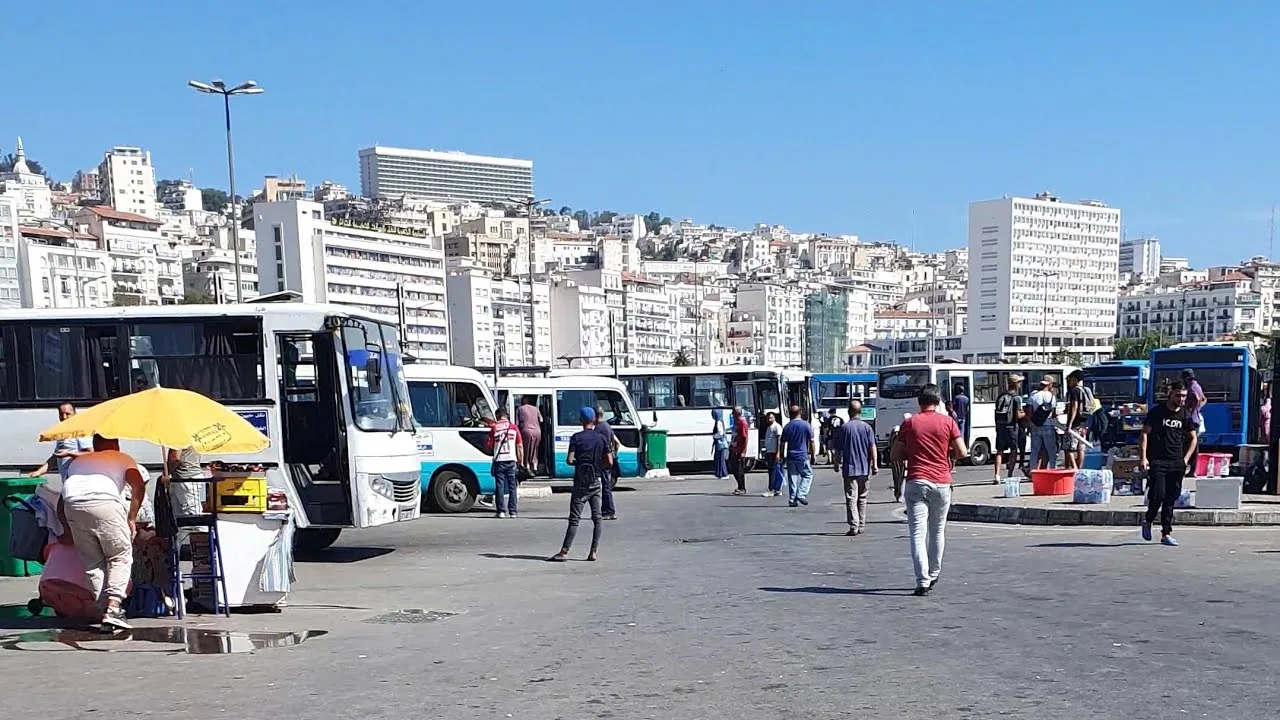 هذه شروط تغيير حافلات النقل العمومي ومنح التراخيص الجديدة